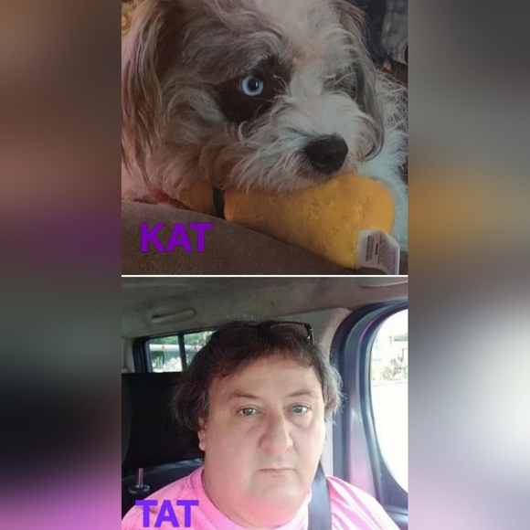 Meet your Posher, Troy - Picture 3 of 12